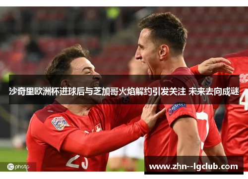 沙奇里欧洲杯进球后与芝加哥火焰解约引发关注 未来去向成谜